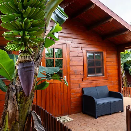 Vegas シャレー *