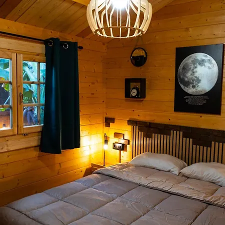 シャレー Vegas アルカス